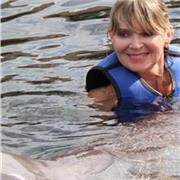 Professeur d'anglais FCE Travail en ligne